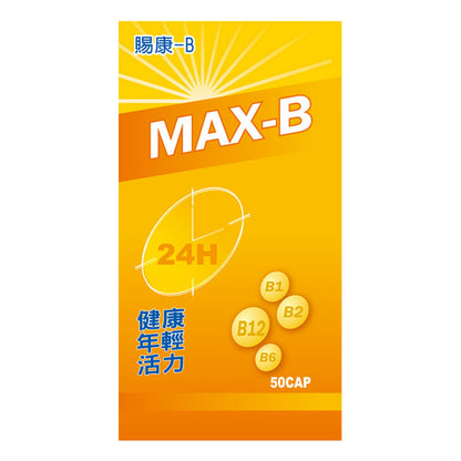 B錠 50粒 (MAX-B)